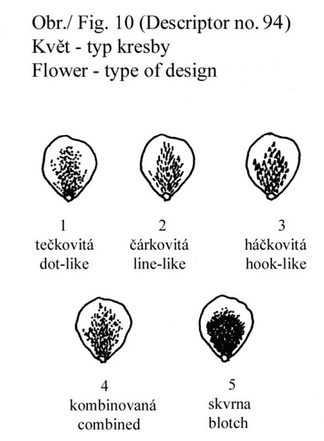 094 Flower - type of design 
