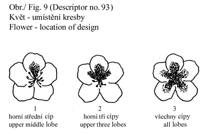 093 Flower - location of design