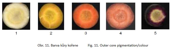 013 Outer core pigmentation/colour