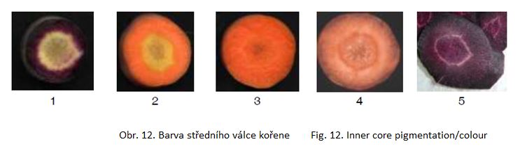 014 Inner core pigmentation/colour